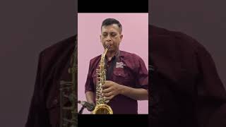 Chhukar Mere Man Ko music saxophonesong saxophoneworld song saxophone love saxophonemelody [upl. by Misab]