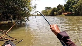 Isso não é um Peixe é um monstro se tá maluco Pescaria nas corredeiras do Rio turvo [upl. by Jamilla]