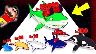 NOOB vs PRO vs HACKER in MERGE SHARK with SHINCHAN and CHOP  AMAANT [upl. by Ki]