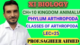 Classes Of Phylum Arthropoda Class MerostomataMerostomataby profsagheer Ahmedking crabLimulud [upl. by Areek912]