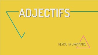 Révise ta grammaire  laccord des adjectifs en français A1A2 [upl. by Jarv]