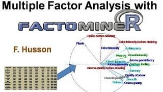 Multiple Factor Analysis MFA with R using FactoMineR [upl. by Treble]