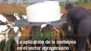 La aplicación de la zootecnia en el sector agropecuario  TvAgro por Juan Gonzalo Angel Restrepo [upl. by Eiba]