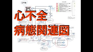 ［公開］心不全の病態関連図 [upl. by Sandro929]