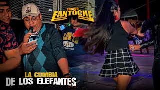 🔴UNA NOCHE DE ESTRENO  ✅️SONIDO FANTOCHE Y LA CUMBIA DE LOS ELEFANTES 🔥 GARZONES PUEBLA 2023 [upl. by Bunnie]