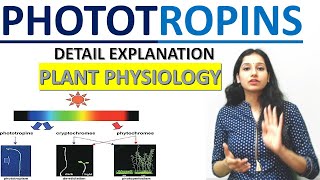 PHOTOTROPIN I Sensory Photobiology I Plant Physiology I Blue Light Receptor I CSIRNETI GATE I ICAR [upl. by Edia460]