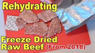 Rehydrating a Raw Freeze Dried Beef Tri Tip Sample from 2018 amp Inventory Tracking [upl. by Jorge385]