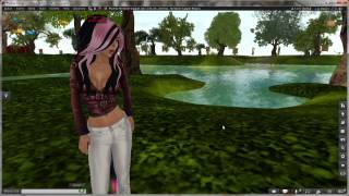 Firestorm Tutorial  Custom Prim Params [upl. by Bacon390]