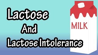 Lactose  What Is Lactose  What Is Lactose Intolerance [upl. by Vaclava450]