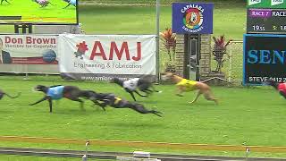 Capalaba13102024Race7 [upl. by Anuaek]