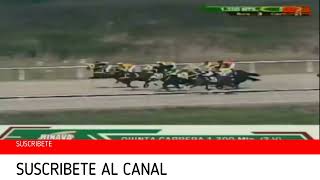 RESUMEN HINAVA Hipodromo de Valencia Sabado 10 de Febrero de 2024 [upl. by Anglo]