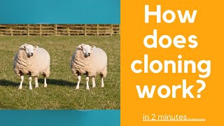 How does cloning work  explained in 2 mins [upl. by O'Malley]