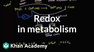 Oxidation and reduction in metabolism  Biomolecules  MCAT  Khan Academy [upl. by Robyn]