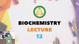 Lecture 12  Vitamins and Coenzymes 💊 [upl. by Barram]