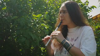 The Lord of the Rings  Concerning Hobbits cover  Tin Whistle amp Melodica  Instrumental Flute Music [upl. by Ahseal]