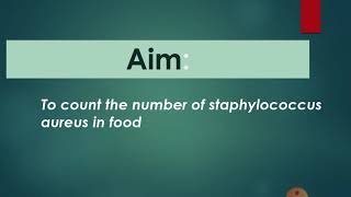 Enumeration of staphylococcus aureus فحص وجود الستاف اوريوس في الغذاء [upl. by Torto]