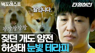 빅포레스트 우리 동네 방범대가 누군지 아니 중독성 강한 허성태 눈빛 모음 [upl. by Ttiwed]