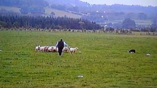 Jim Cropper and Sid World Sheepdog Championship 2002 [upl. by Novert]