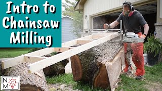 How to Start Alaskan Chainsaw Milling  Milling a Figured Walnut Tree [upl. by Iew]