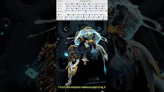 How Kuva Liches amp Sisters of Parvos Work Beginners Guide Warframe Shorts [upl. by Lekzehcey]