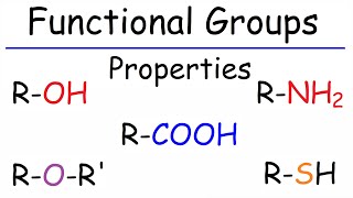 Properties of Functional Groups  Organic Chemistry [upl. by Alleinnad]