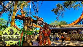 The Creation of Tigris  Floridas Tallest Launch Coaster  Expedition Busch Gardens Tampa [upl. by Tuddor675]