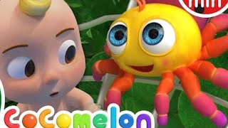 Itsy Bitsy Spider  Cocomelon Nursery Rhymes amp Animal Songs [upl. by Takeshi1]