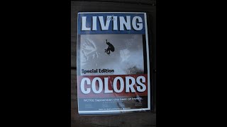 LOWER TRESTLES BOOST MOBILE PRO 2002  THE LIVING COLOR [upl. by Brothers893]