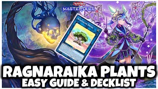 RAGNARAIKA PLANTS  EASY GUIDE amp DECKLIST [upl. by Elisha]