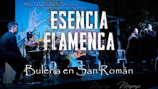 quotBulería en San Románquot  ESENCIA FLAMENCA TientosTangos [upl. by Atel]