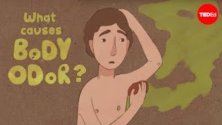 What causes body odor  Mel Rosenberg [upl. by Adeehsar]