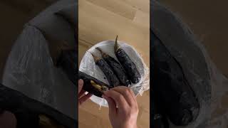 Eggplant and Lentil pureeTry This Delicious recipe shortvideo shorts eggplant eggplantrecipe [upl. by Nessi]