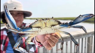 Crabbing and Fishing  Galloway New Jersey [upl. by Ranna256]