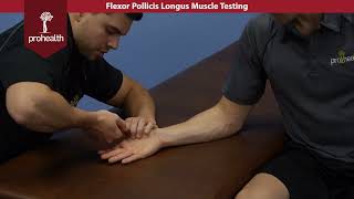 Flexor Pollicis Longus Muscle Test Palpation Dr Vizniak Muscle Manual [upl. by Eicats227]