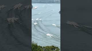 Cigarette Boat Races Ohio River 8192023  07 [upl. by Orsa71]