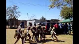 ZamaShenge Zulu dancers [upl. by Ardnuhsal813]