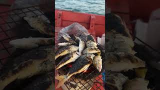 Primitive cooking fish with life style dailyvlog shorts short shortvideo [upl. by Atinaj856]