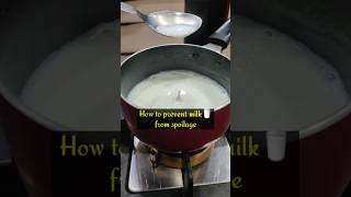 👌Best way to prevent MILK from Spoilage at home🤩🏡 diy tips shorts milk preserve [upl. by Ayatnwahs]