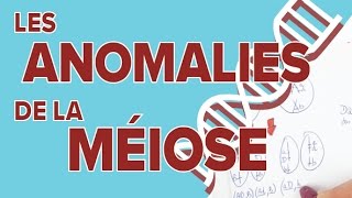 Anomalies de la Méiose  5  SVT  Terminale S  Mathrix [upl. by Diley]