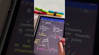 NEET 2024 Complete Mitosis in 1 minute with tricks neetug neetbiology doctor biology [upl. by Chapel]