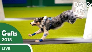 Day 2 Live Stream  Crufts 2018 [upl. by Frazier]