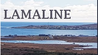 Jason R Martin LAMALINE Newfie Music NL Music Newfoundland Music Country Music Viral True Story Song [upl. by Akinorev854]