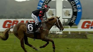 2014 Wellington Steeplechase  Rangatira and Cory Perrett [upl. by Sachsse]