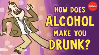 How does alcohol make you drunk  Judy Grisel [upl. by Eniamej]