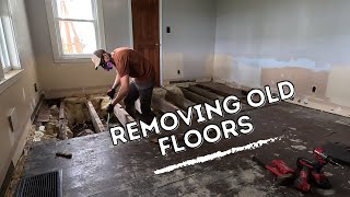 These crooked floors have to go  starting the leveling process [upl. by Yarezed]