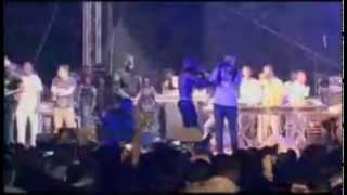 Tinie Tempah Performing quotPass Outquot  Koko Concert 2012 [upl. by Earas]