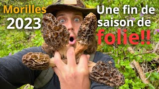 La DERNIÈRE récolte de MORILLES 2023 est INCROYABLE [upl. by Fedora]