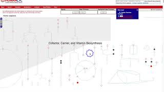 Metabolomics Overview [upl. by Coleville209]