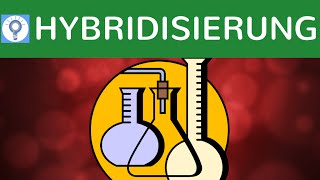 Hybridisierung amp DNAHybridisierungsverfahren einfach erklärt  SouthernBlotting amp Bsp  Analyse 2 [upl. by Elahcar]