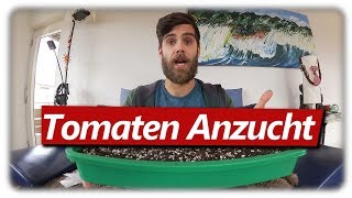 Tomaten erfolgreich aussäen  Wann und wie [upl. by Yeoz370]